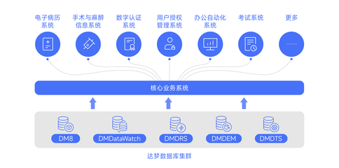 達夢數據助力廈門大學附屬成功醫院核心業務系統信創改造 — 打造國產數據庫服務新模式
