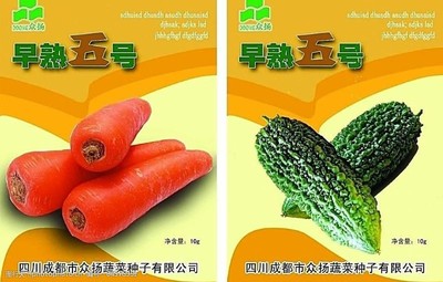 苦瓜種子包裝設計素材 從元素到創意指導